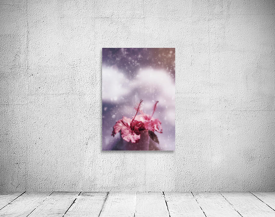 Vintage flower in the summer rain Wall Preview