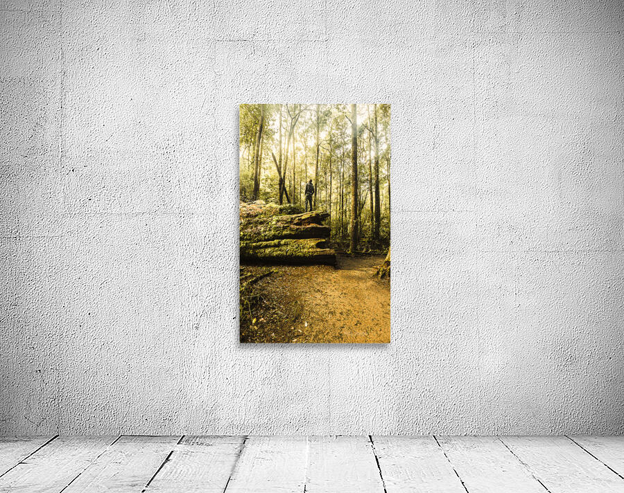 Tourist Hiking Mount Field Tasmania  Wall Preview