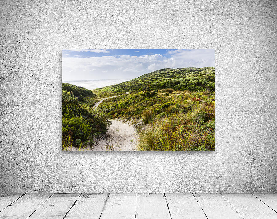 Sand dune path leading to Tasmania beach landscape Wall Preview