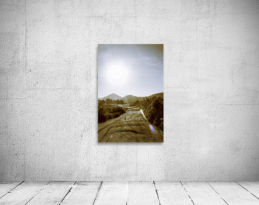 Dirt roads of outback Tasmania Wall Preview