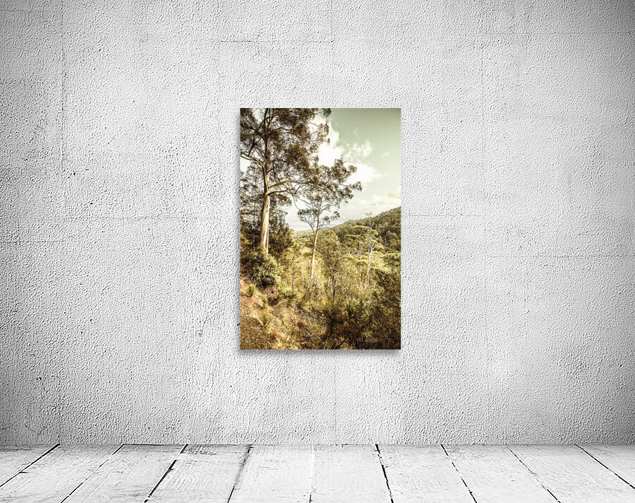 Gumtree bushland Wall Preview