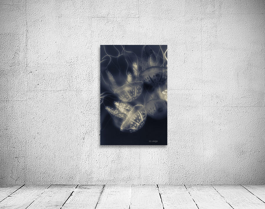 Tonical Entangle Wall Preview