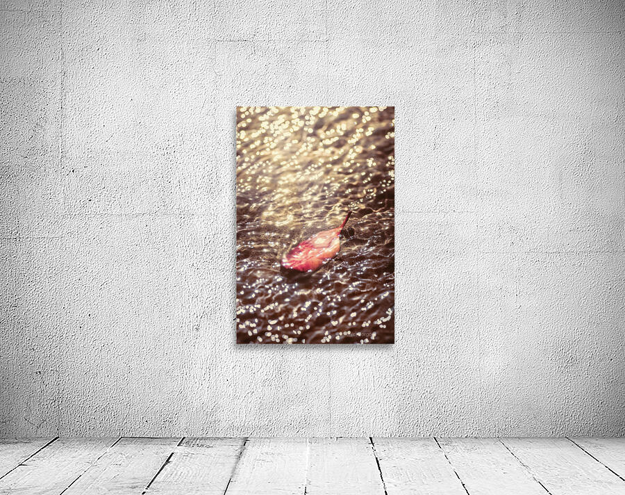 The fall and the light merger Wall Preview