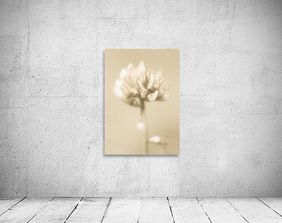 Soft pastel flower Wall Preview