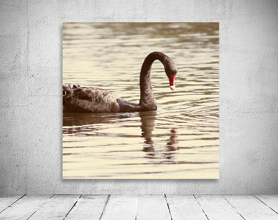 Reflective beauty Wall Preview