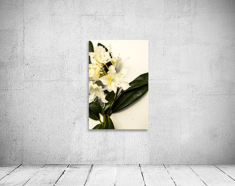 Japanese flower art Wall Preview