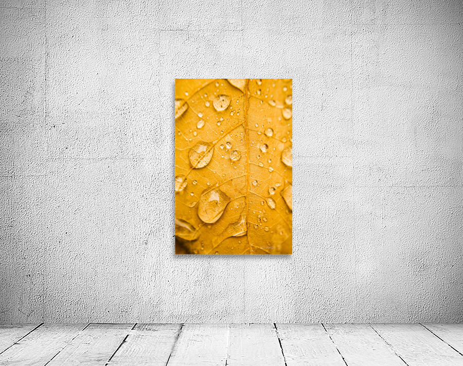 Leafy tropics Wall Preview