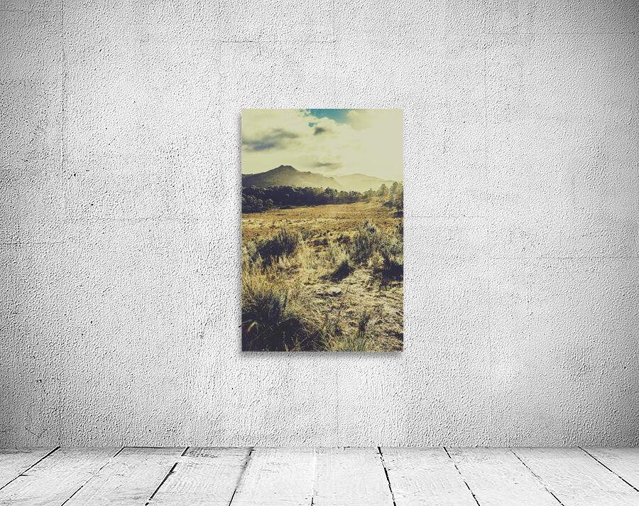 The last light Wall Preview