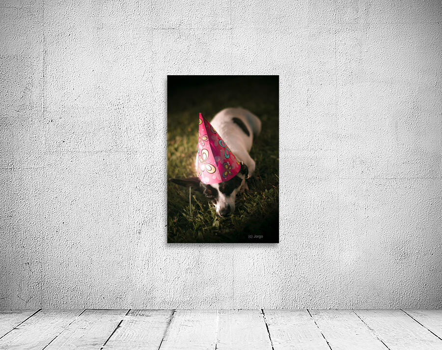 Partied out party animal Wall Preview