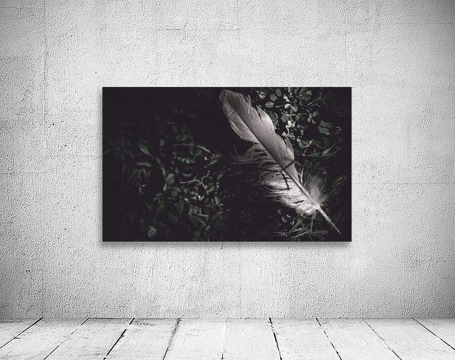 Feather quill lying in green grass. Writers guild  Wall Preview