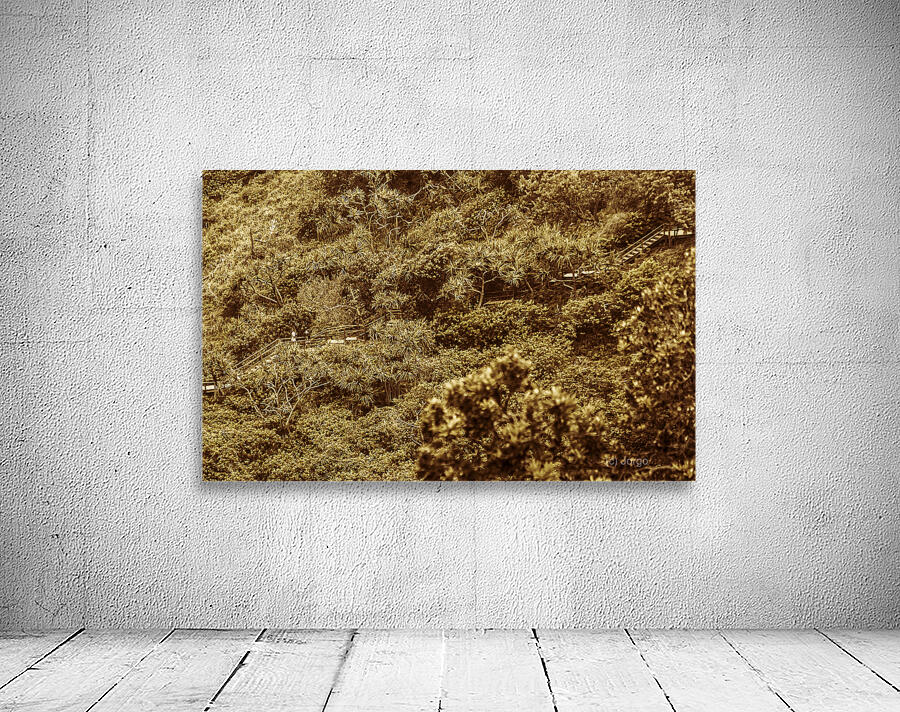 Woodland walk Wall Preview