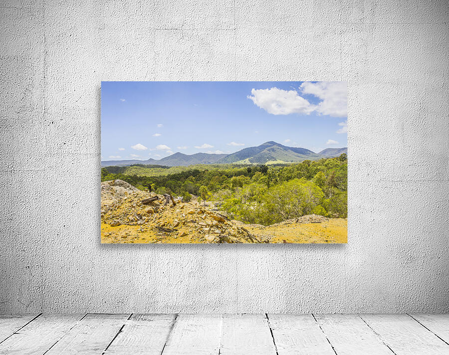 Colour wilds  Wall Preview