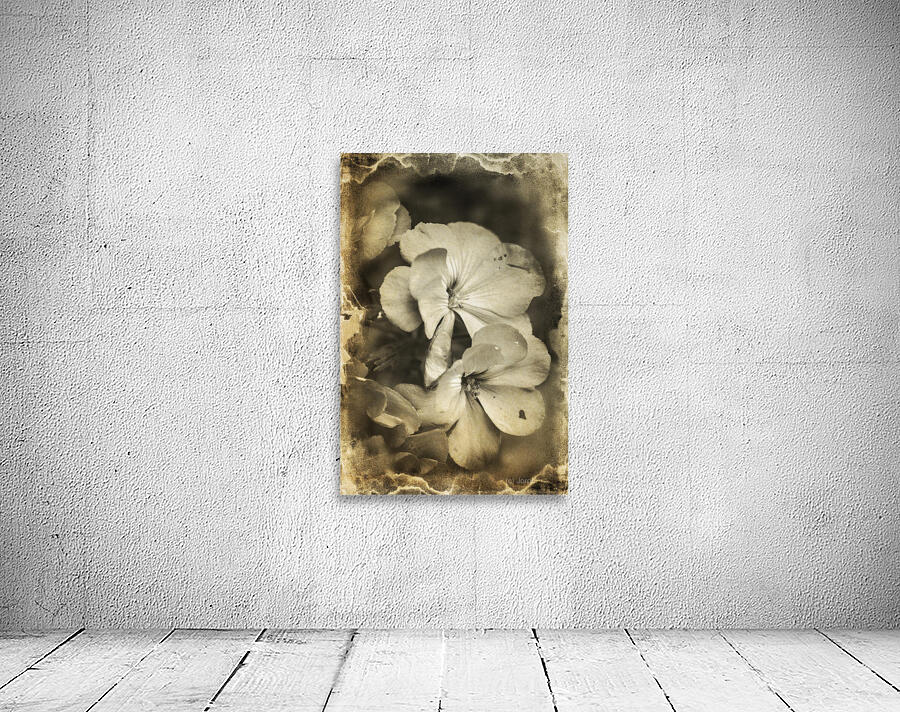 Romances from past times Wall Preview