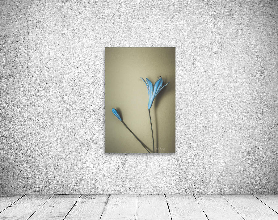 Blue Simplicity Wall Preview