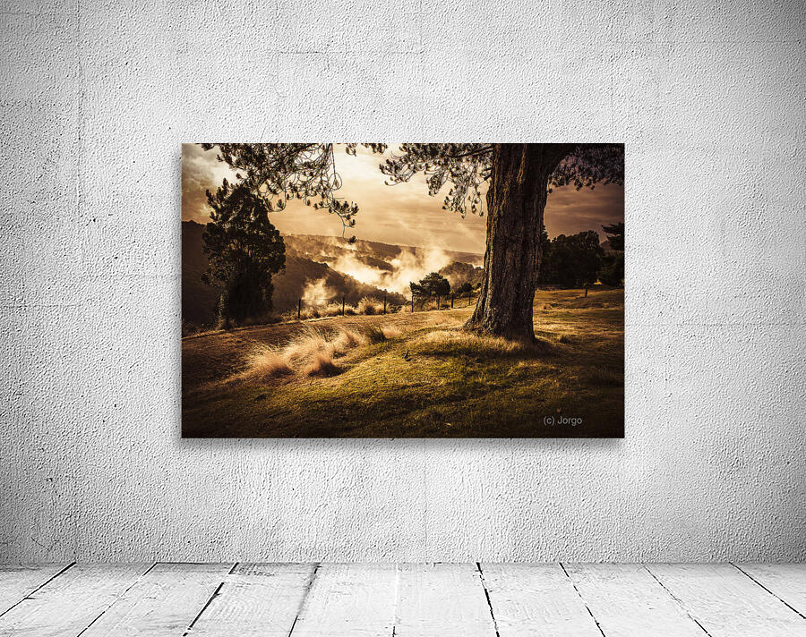 Peaceful vintage landscape of a rural meadow Wall Preview