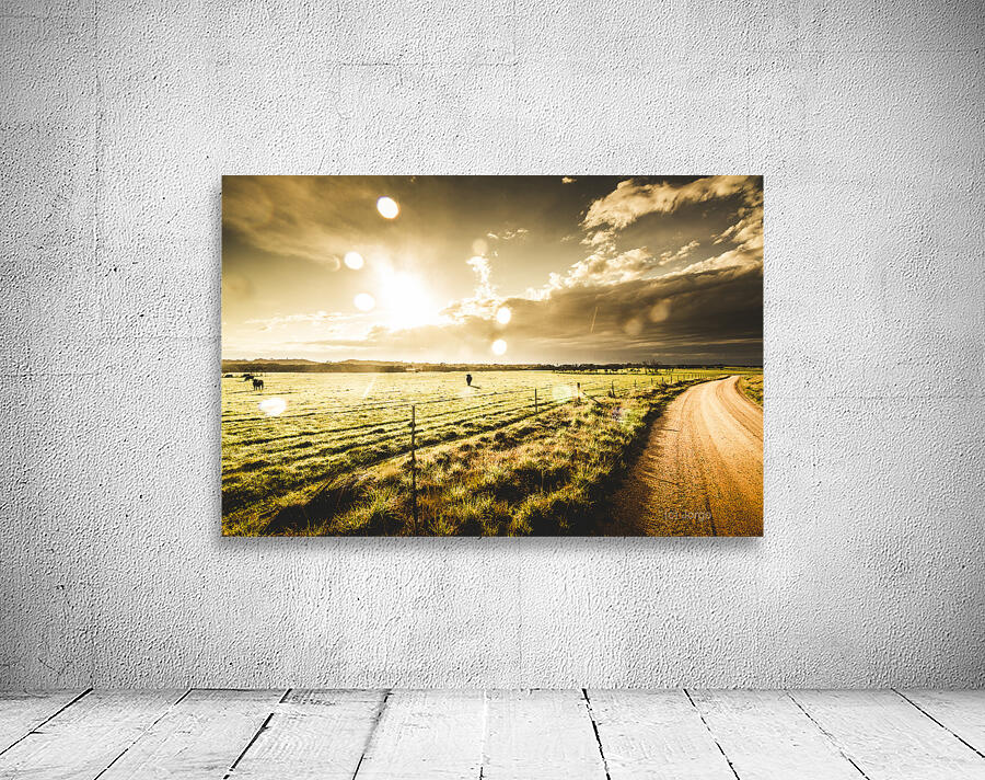 Australian rural dirt road  Wall Preview