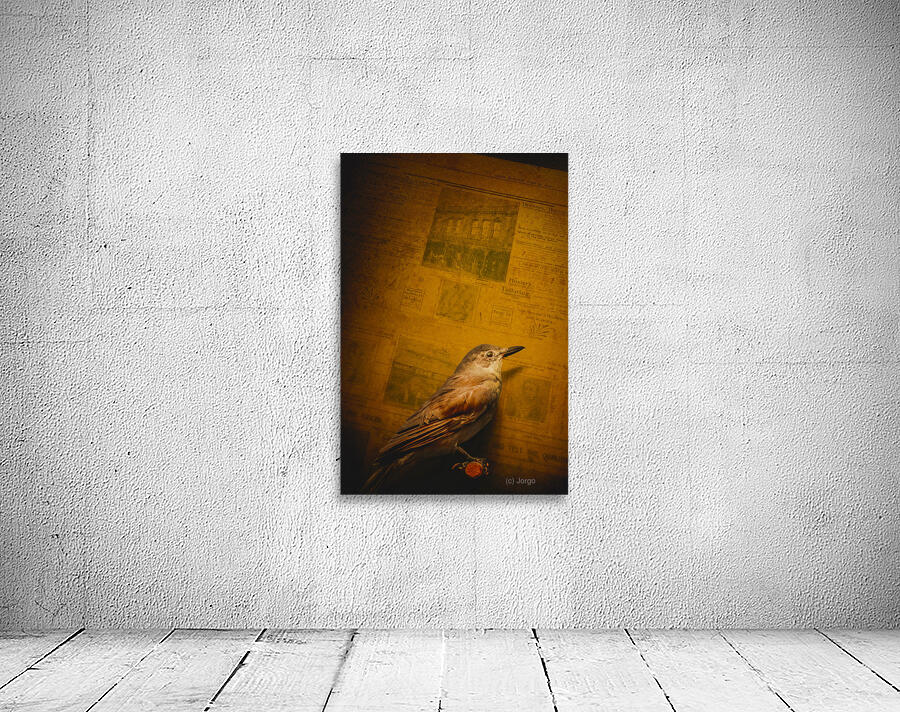 The messenger bird Wall Preview