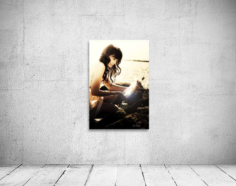 Coastal courier Wall Preview