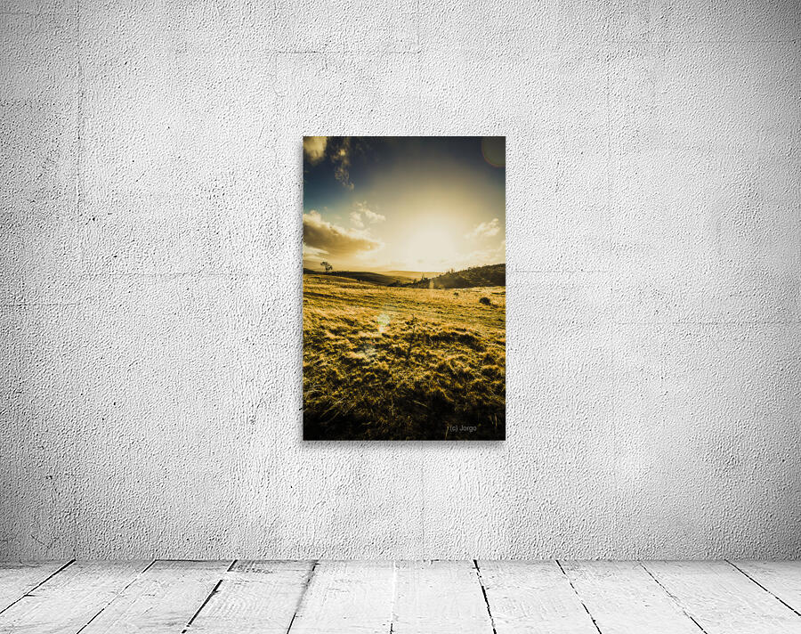 Sunburnt summer plain Wall Preview