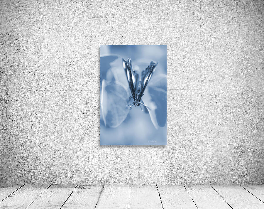 Blue spring Wall Preview