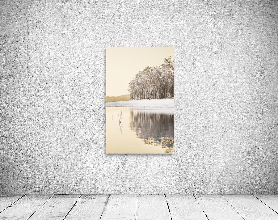 Infrared Lake Samsonvale Wall Preview