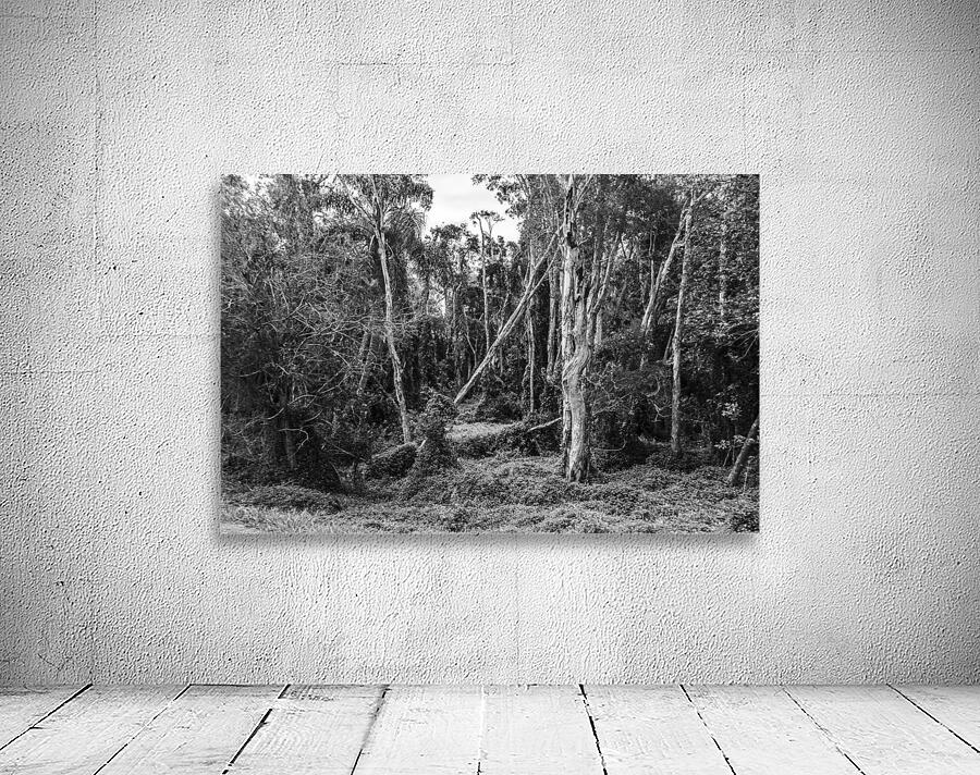 Wildering woods Wall Preview