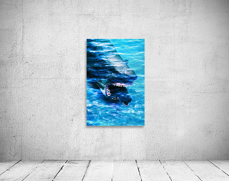 Shark bite Wall Preview