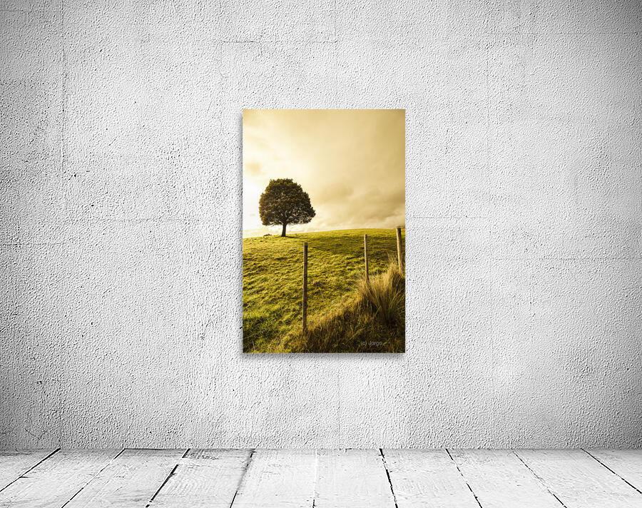 Ridgley hilltop Wall Preview