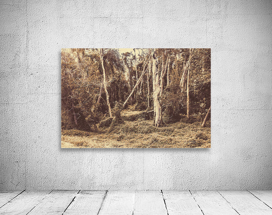 Wild ways Wall Preview