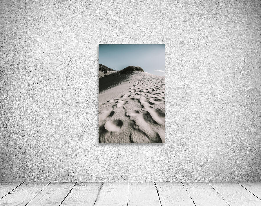 Winter desert landscape Wall Preview