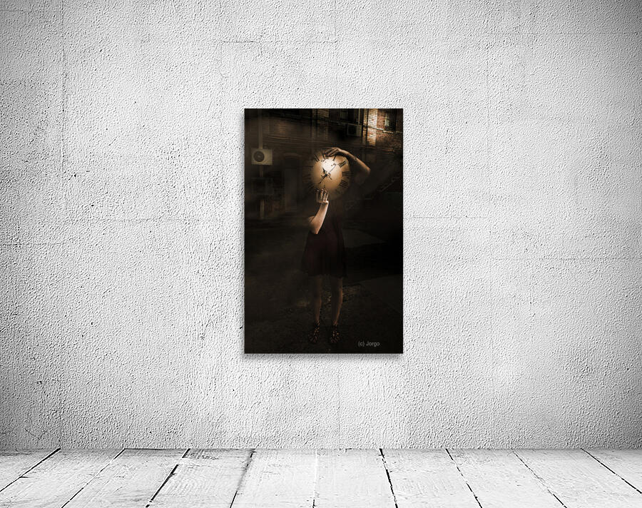 Hidden history Wall Preview