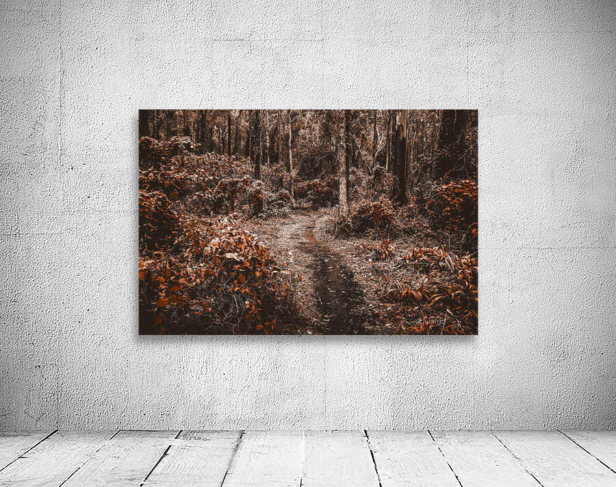 Wayback woods Wall Preview