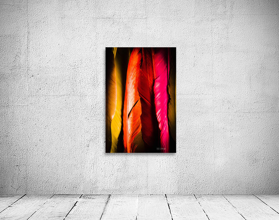 Colourful feather art Wall Preview