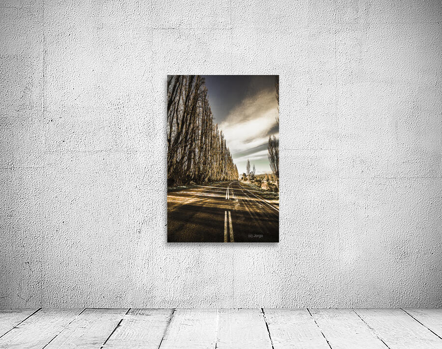 Twisted roads and dead trees Wall Preview