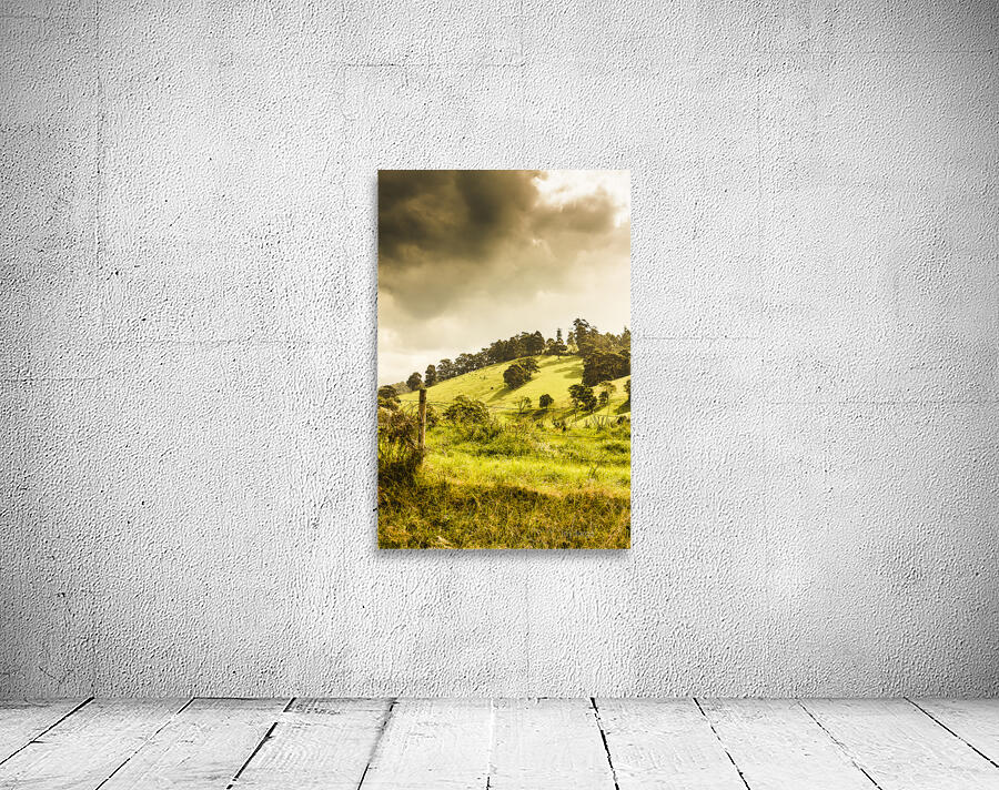 Lush green country farmland Wall Preview