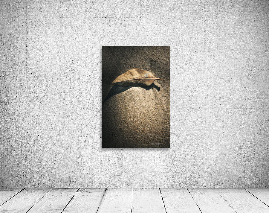 The desert burial Wall Preview