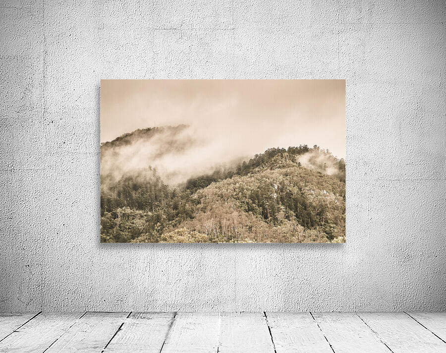 Elevated wonder Wall Preview