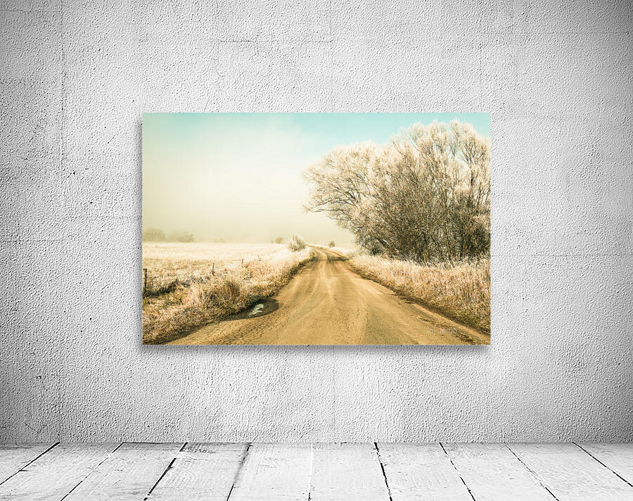 Winter road wonderland Wall Preview