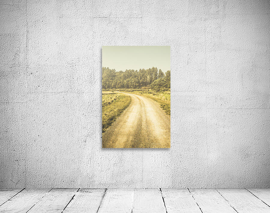 Empty curved gravel road in Tasmania Australia Wall Preview