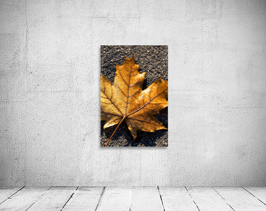 The Fall Of Autumn Wall Preview