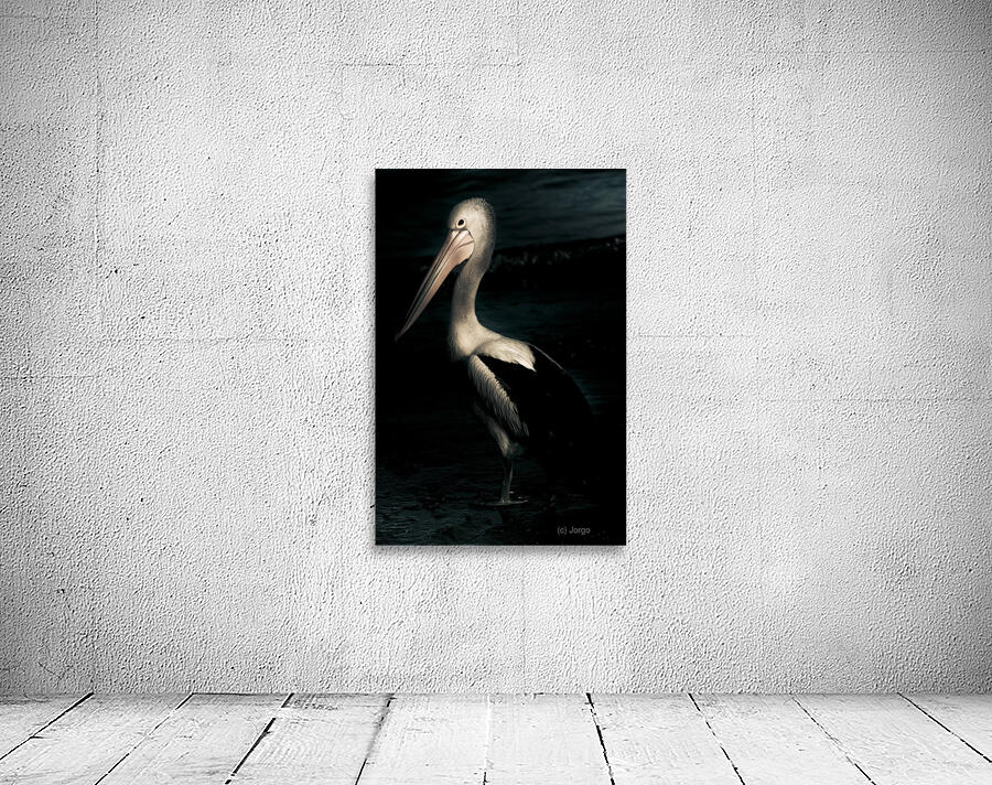 Twilight Pelican Wall Preview