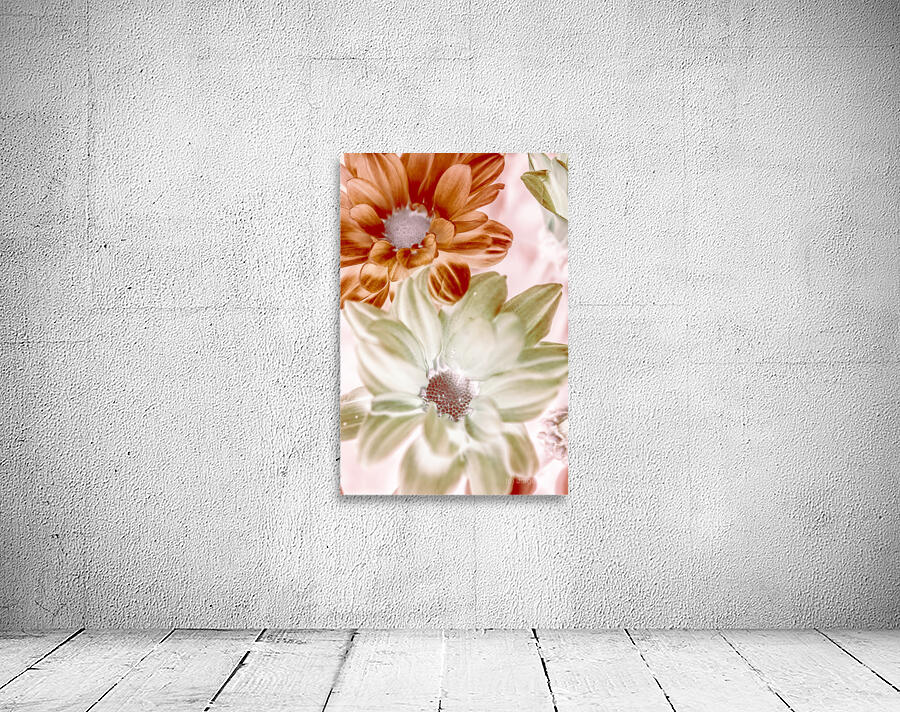 Chrysanthemum creativity Wall Preview