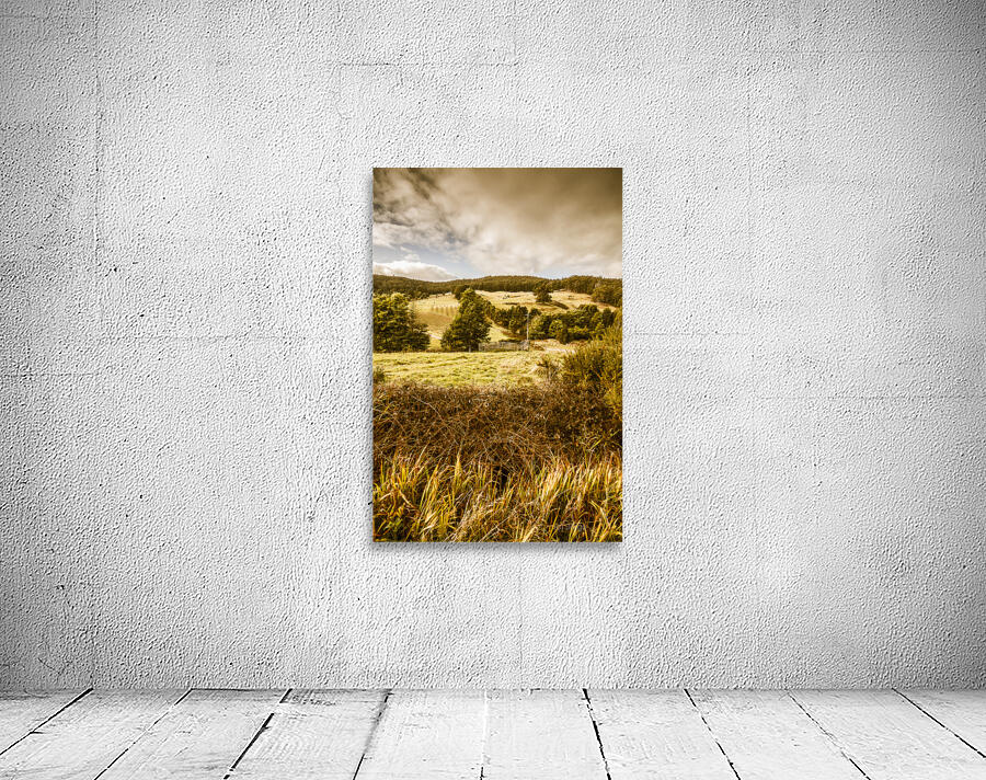 Cygnet rustic farming fields Wall Preview