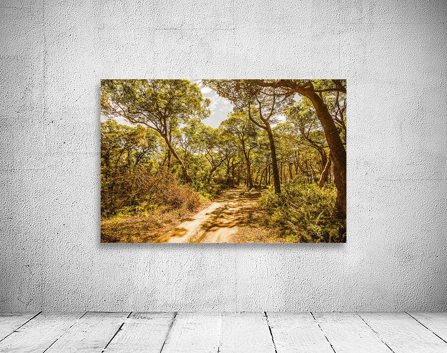 Nth Stradbroke Is. Wall Preview