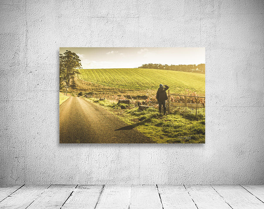 Fielded adventure Wall Preview