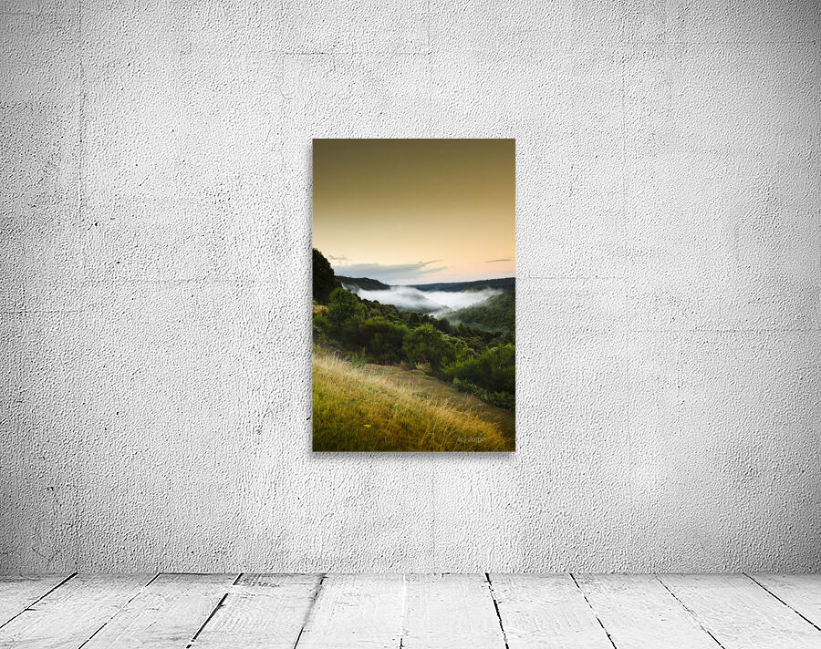 Waratah morning landscape of Mount Bischoff Valley Wall Preview