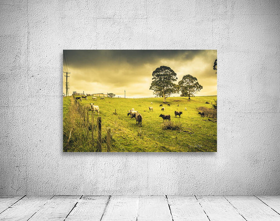 Colourful Australian cattle station Wall Preview