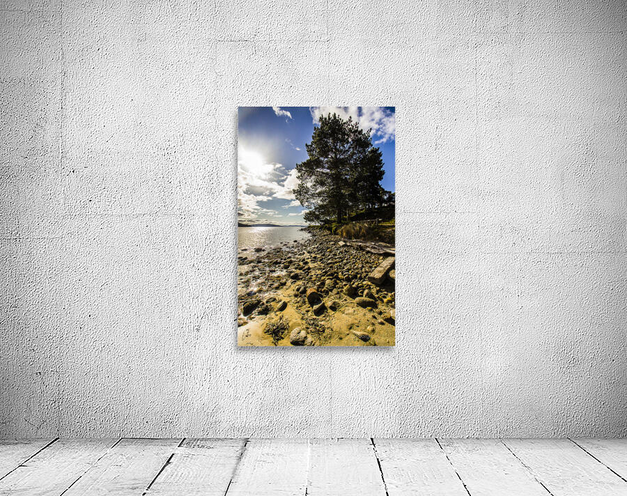 Rugged seascape Wall Preview