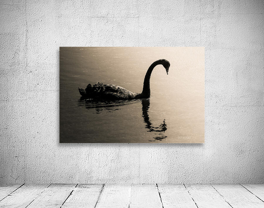 Silhouetted Wall Preview