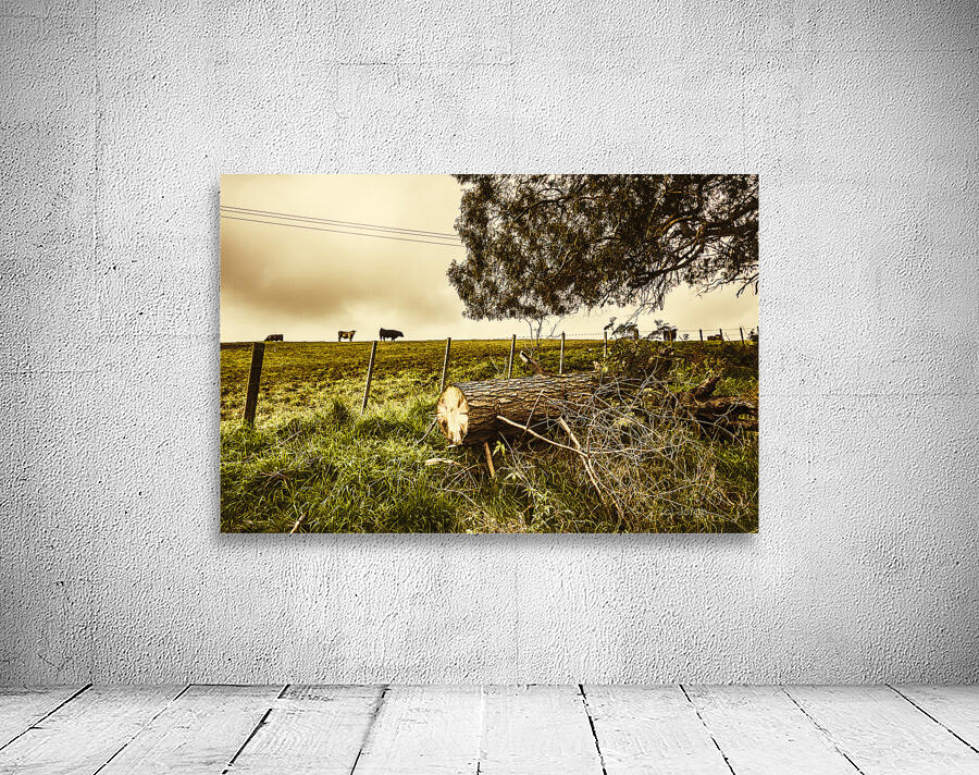 Tasmanian Country Farm Details Wall Preview